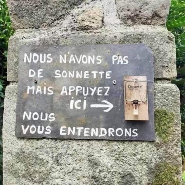 Image redimensionnée