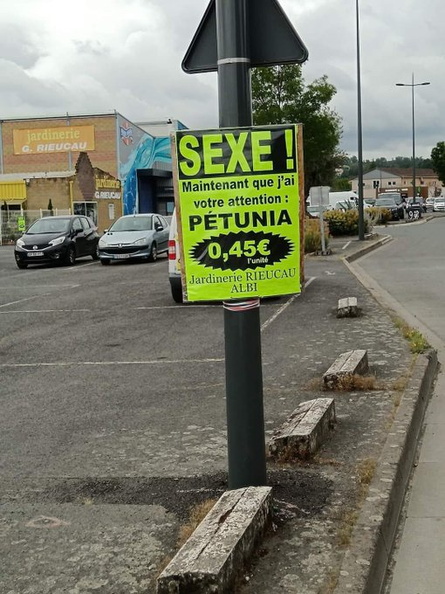 Image redimensionnée
