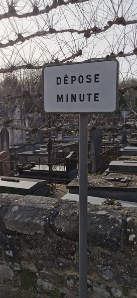 Image redimensionnée