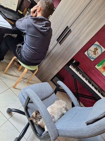 Image redimensionnée