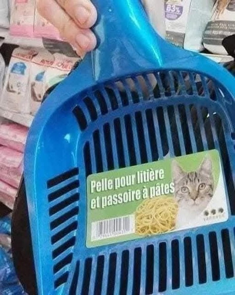 Image redimensionnée