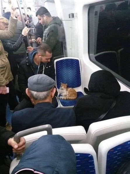 Image redimensionnée
