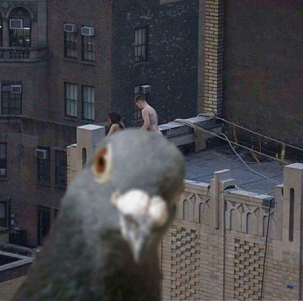 Image redimensionnée