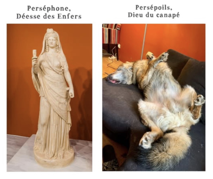 Image redimensionnée