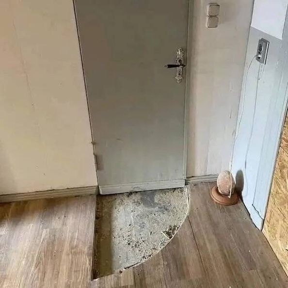 Image redimensionnée