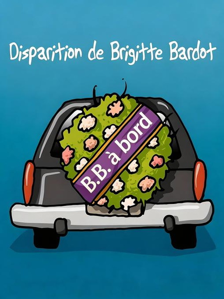 Image redimensionnée