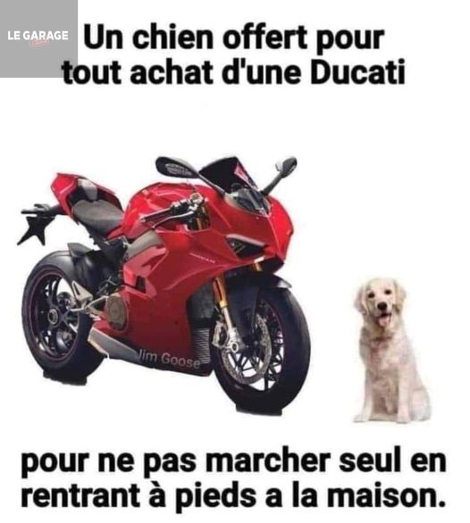 Image redimensionnée
