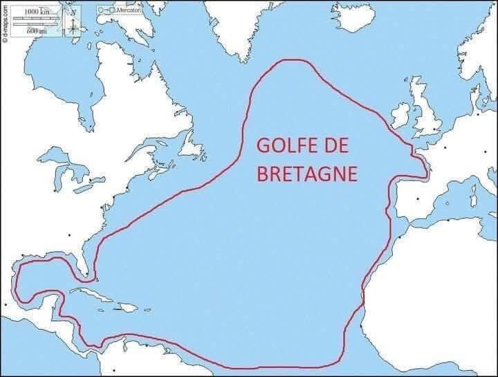 Image redimensionnée