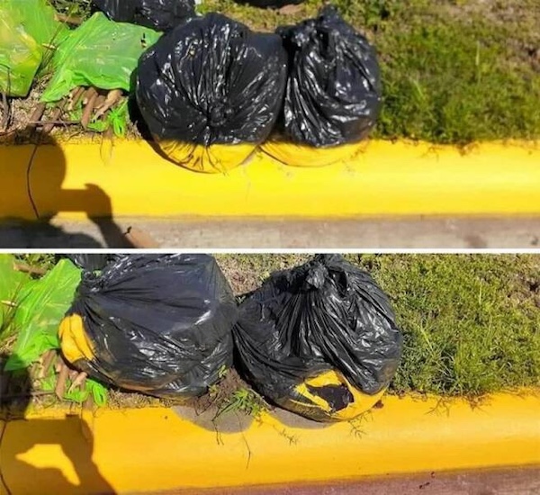 Image redimensionnée