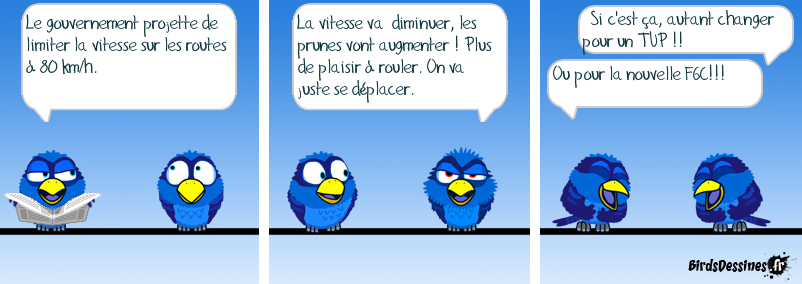 128_55282c613f593.jpg 802X284 px