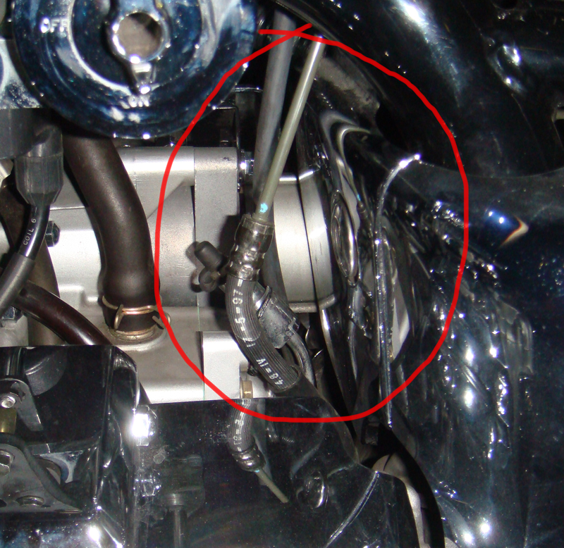 199_47c818efa65ac.jpg 800X778 px