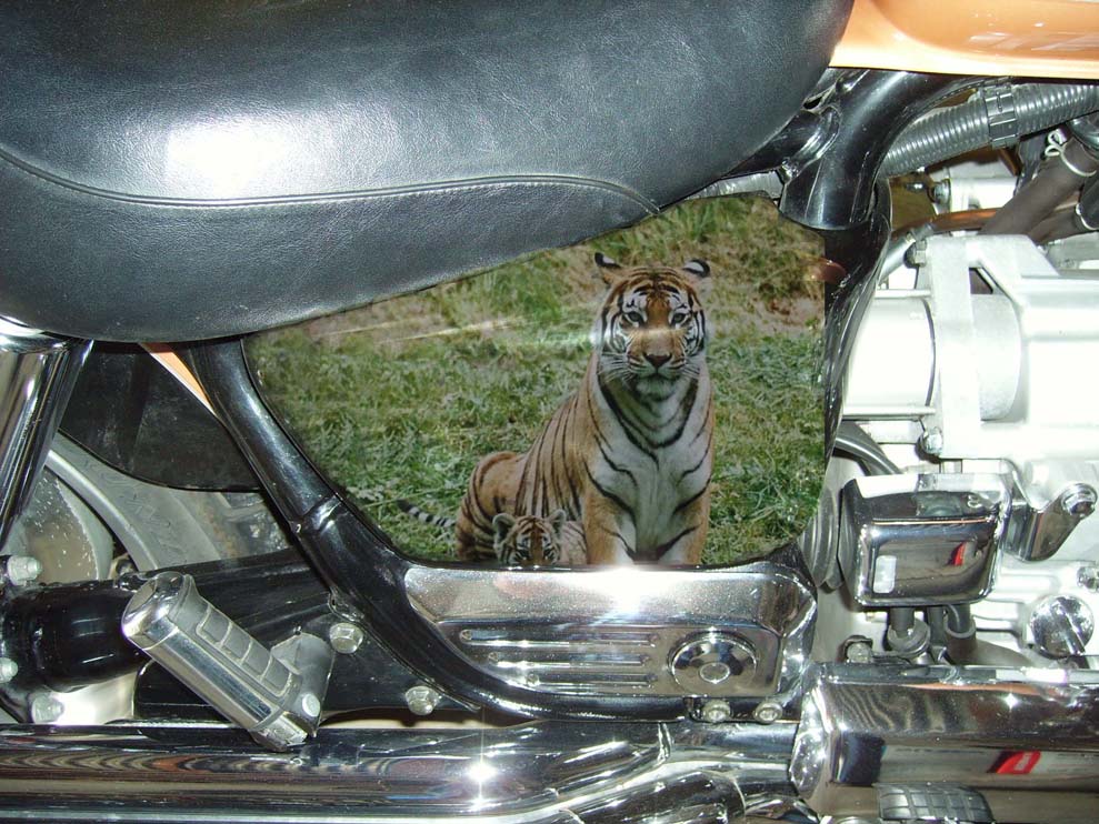 207_4651beaa27ace.jpg 989X742 px