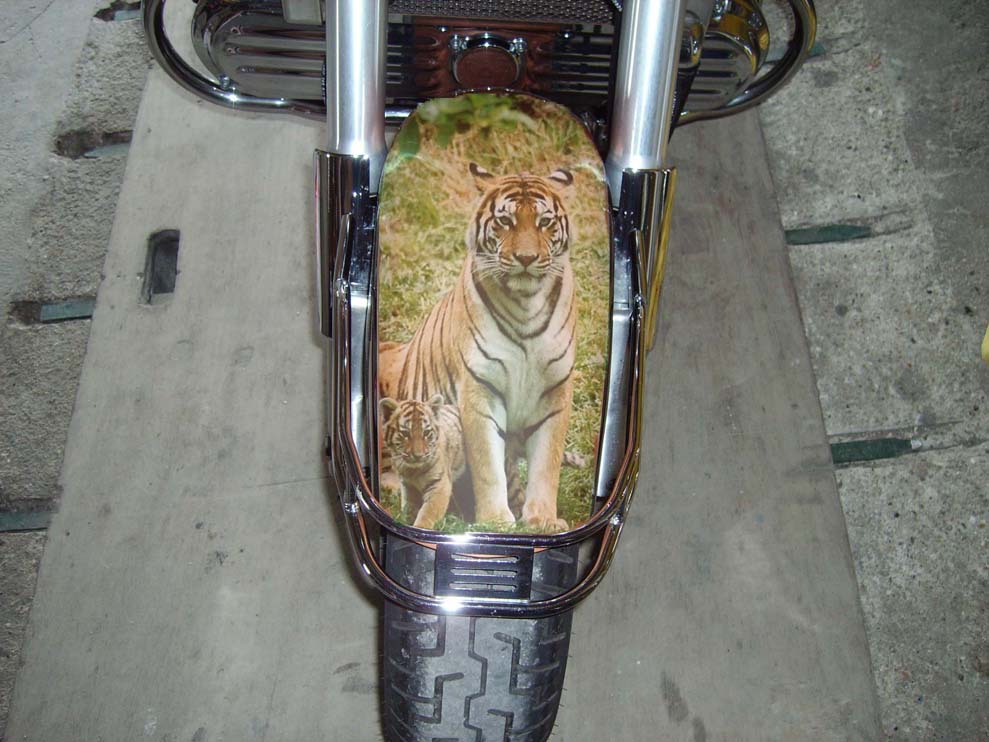 207_4651beb7e65fe.jpg 989X742 px