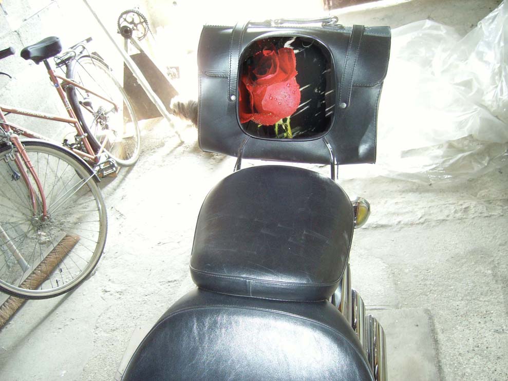 207_4651bedb54a96.jpg 989X742 px