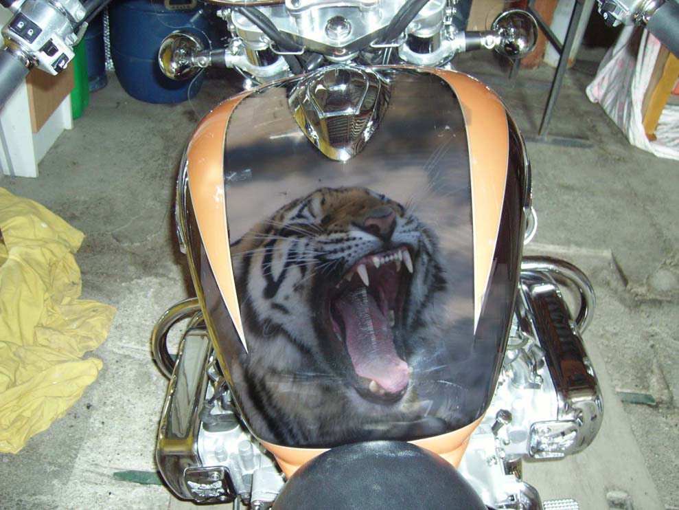 207_4651beea3d4e7.jpg 989X742 px