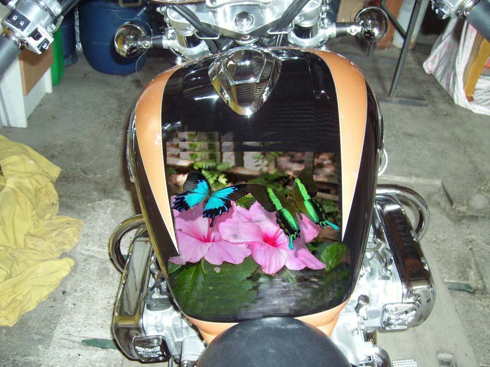 207_4651bf1fb2cc6.jpg 989X742 px