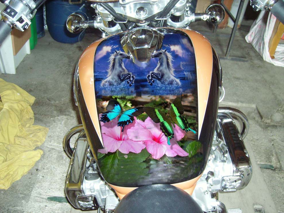 207_4651bf33af227.jpg 989X742 px