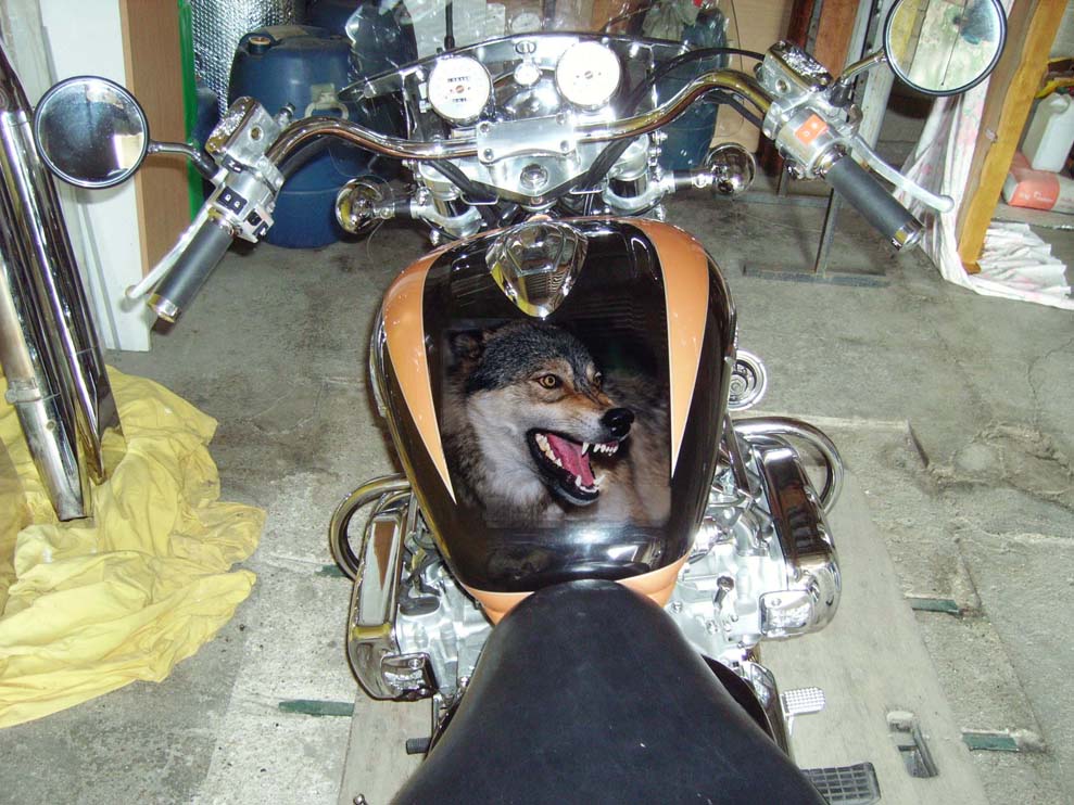 207_4651bf42f000b.jpg 989X742 px