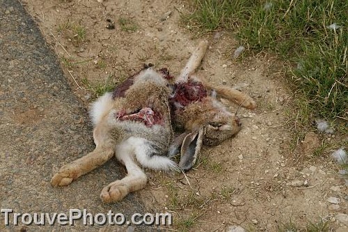 7_4bf2f8e9ad346.jpg 512X341 px